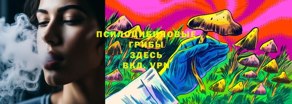 ALPHA PVP Костерёво